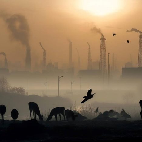 Environmental Pollution