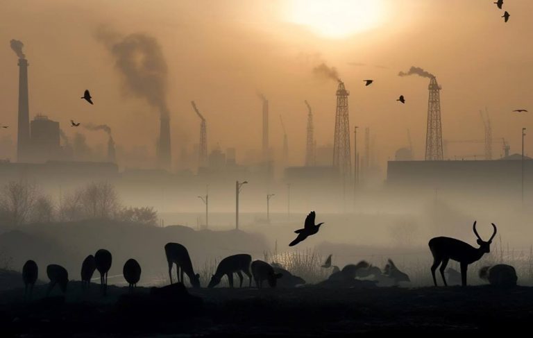 Environmental Pollution