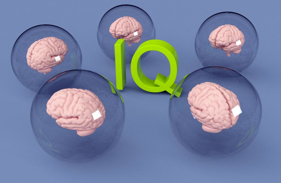 Brain Teasing IQs