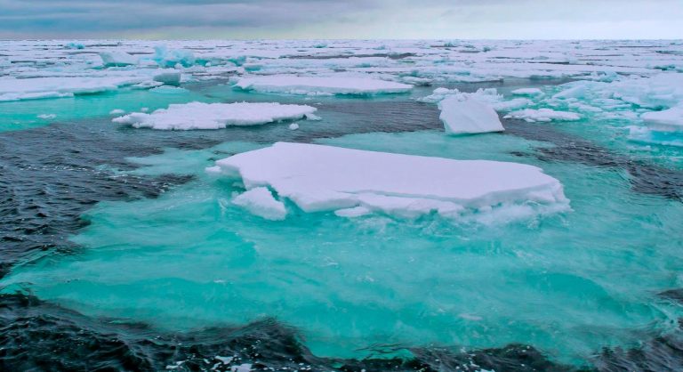 Hidden Diseases In Frost Emerge As Planet’s Temperatures Rise