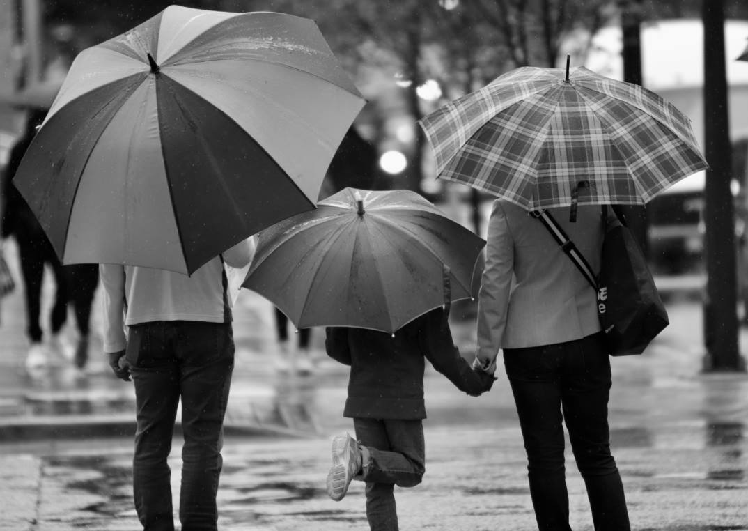 Not Your Typical Family