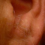 Hair In Your Ear