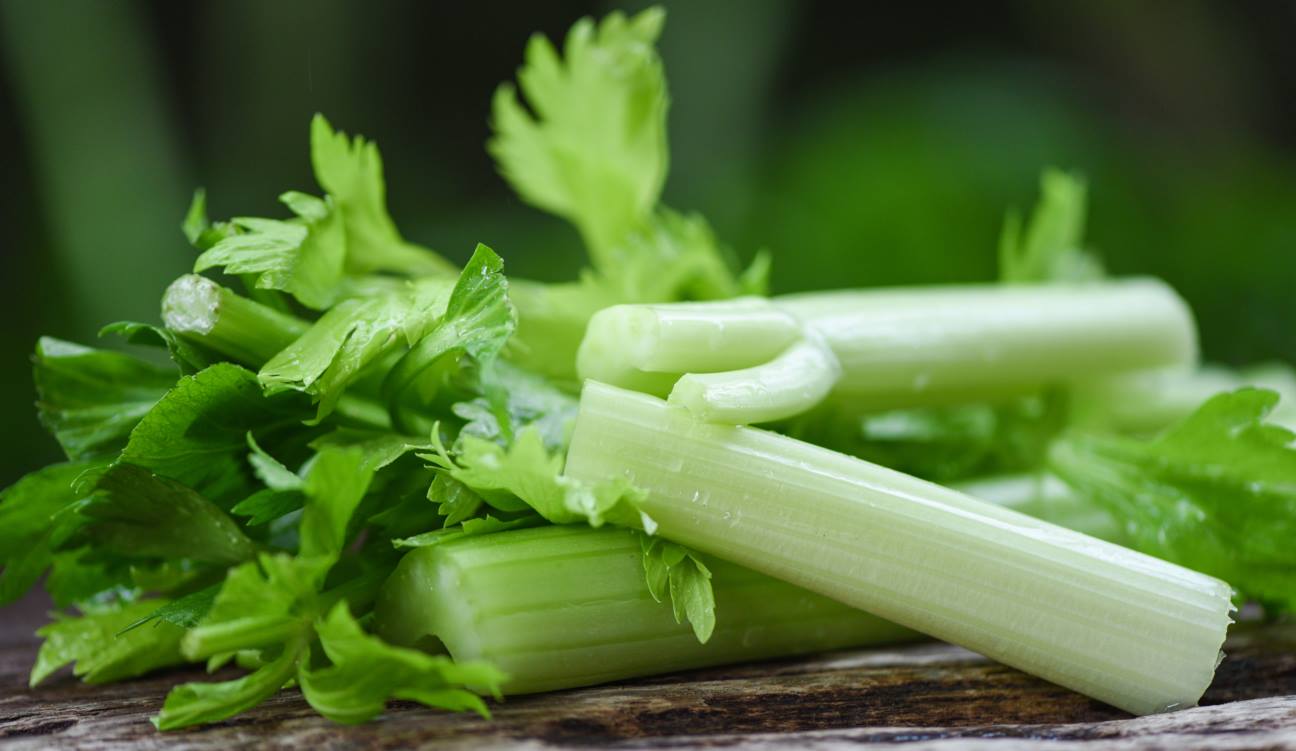 Celery vegetable