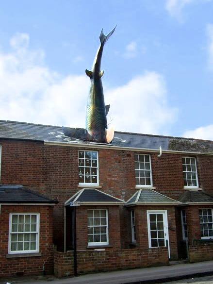 The Headington shark