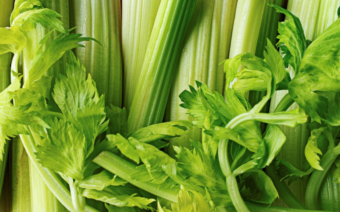 celery