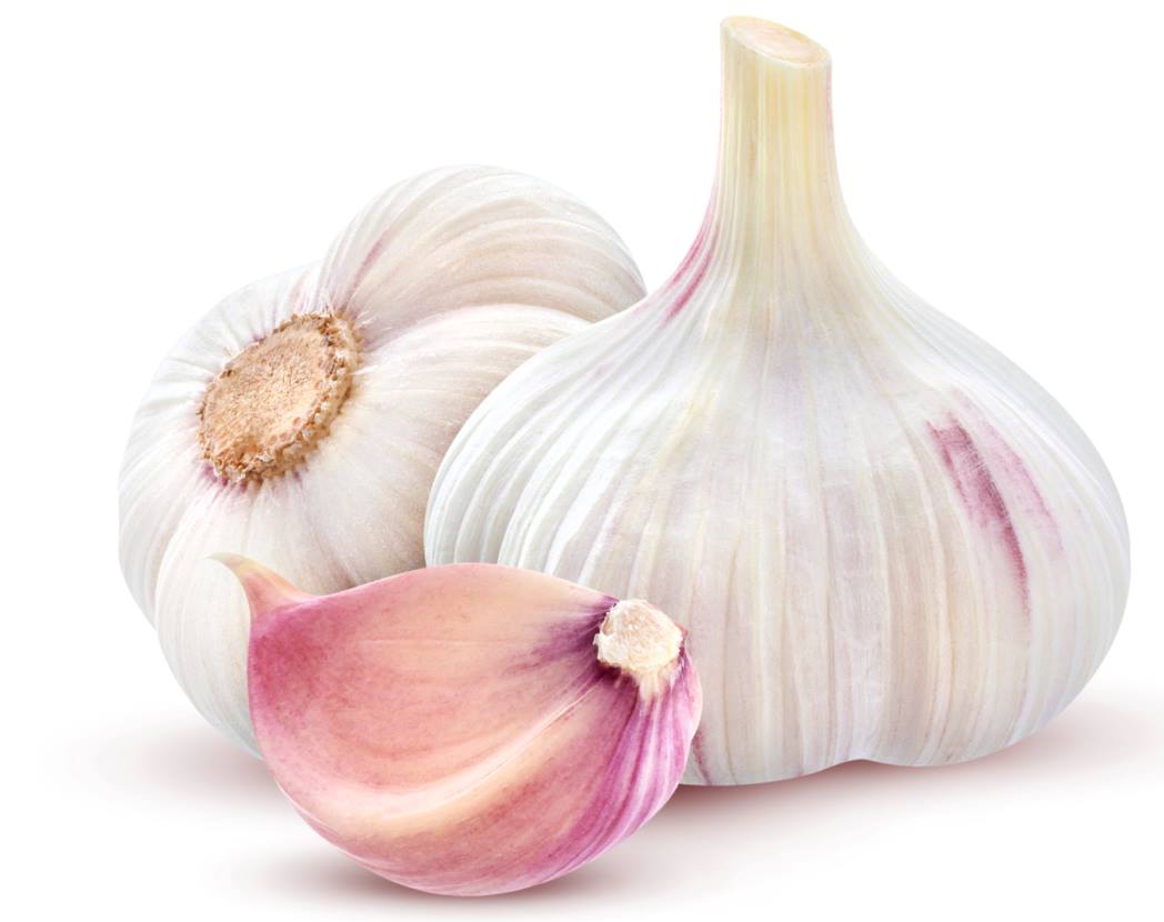 garlic