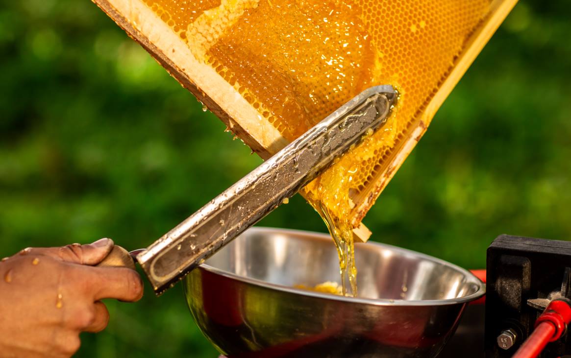 Eat Raw Honey