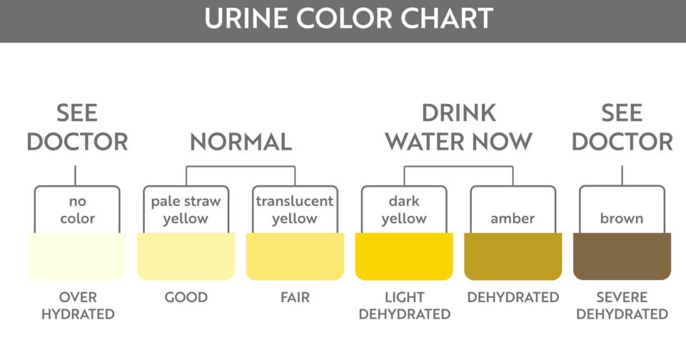 Urine Color Chart