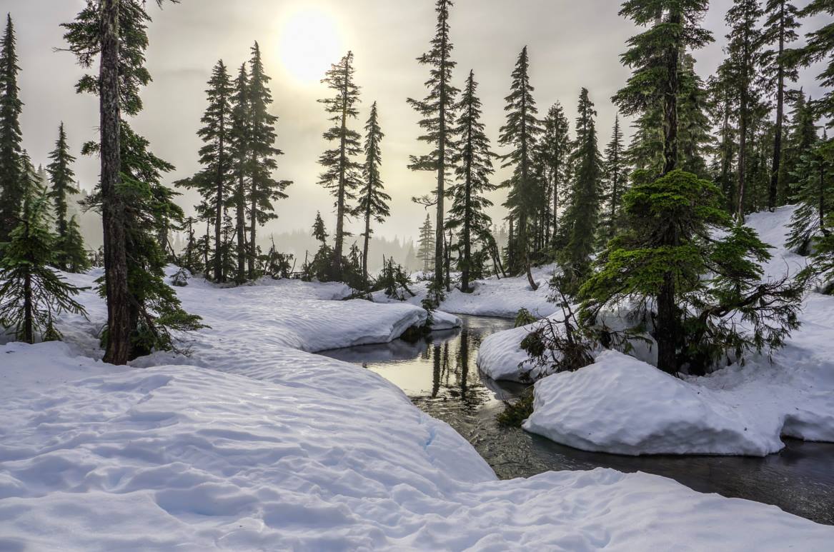 Winter landscape