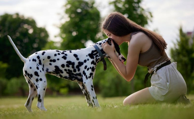 Furry Friends for a Happier Mind