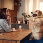 How Pets Positively Impact Human Health