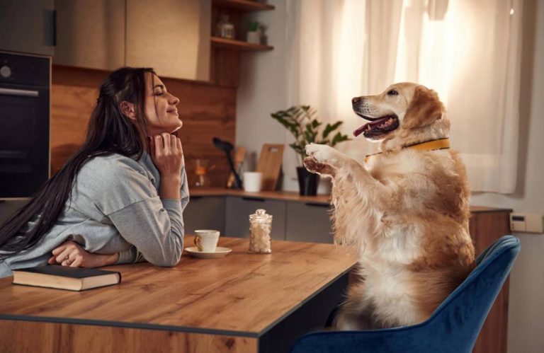 How Pets Positively Impact Human Health