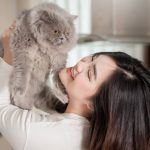 Human-Feline Bond