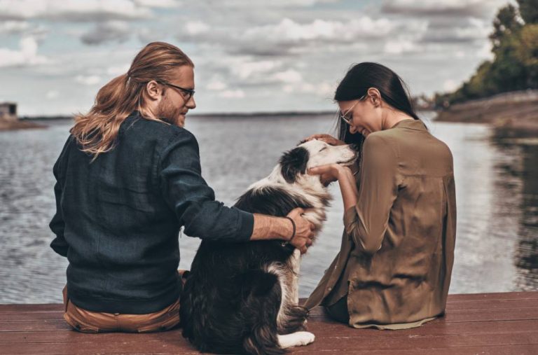 Petting Other People’s Dogs