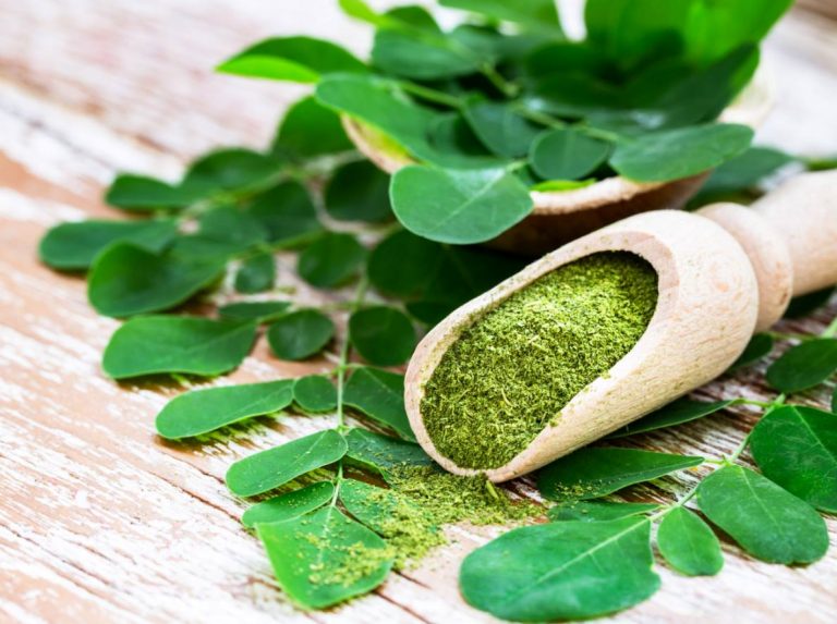 Moringa oleifera leaves, powder and capsules
