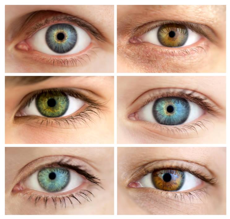 different eye shapes