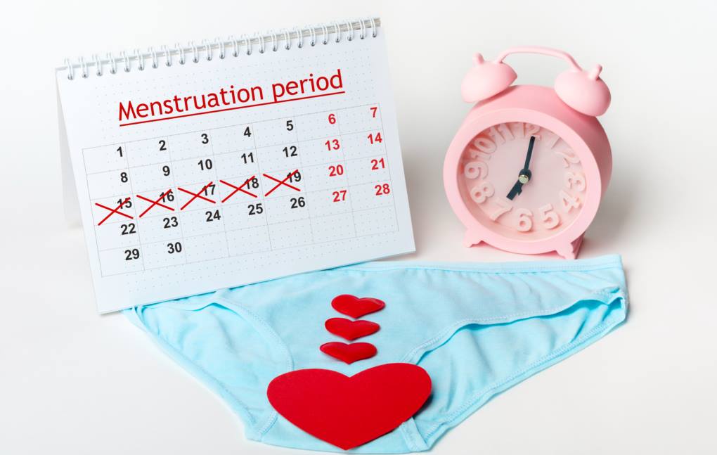 menstruation period