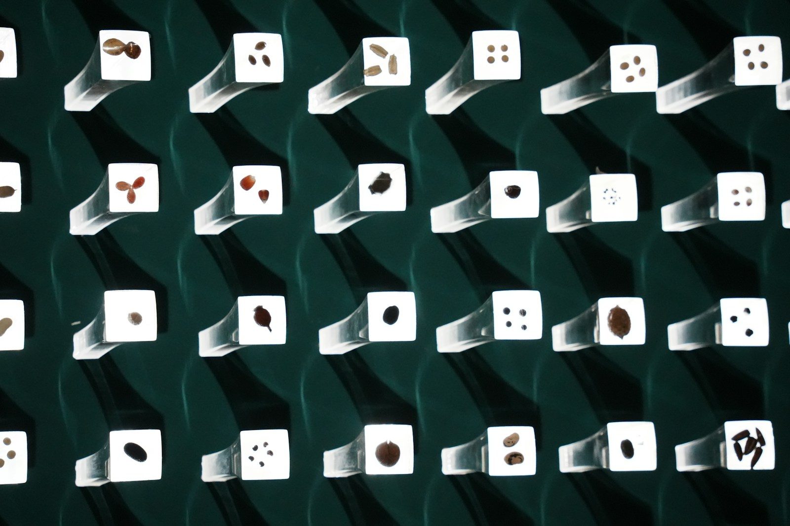 Shapes are displayed on a grid of illuminated squares.