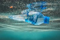 a plastic bottle floating in the water