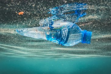 a plastic bottle floating in the water