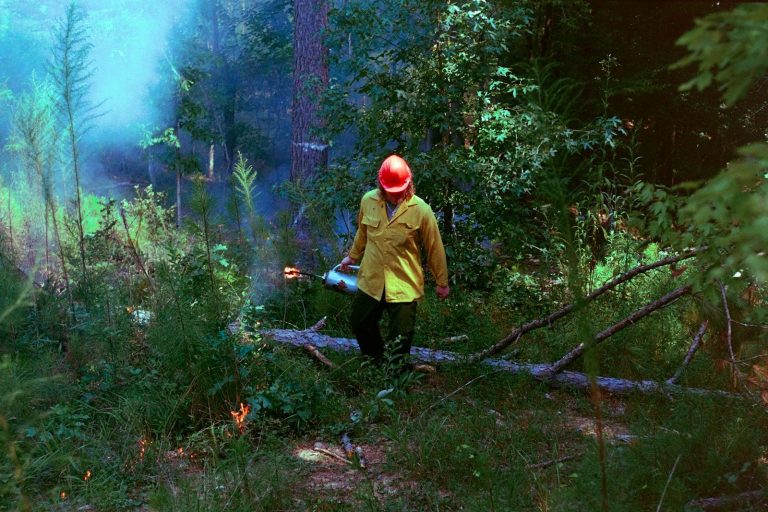 what does sealing mean in a fire restoration