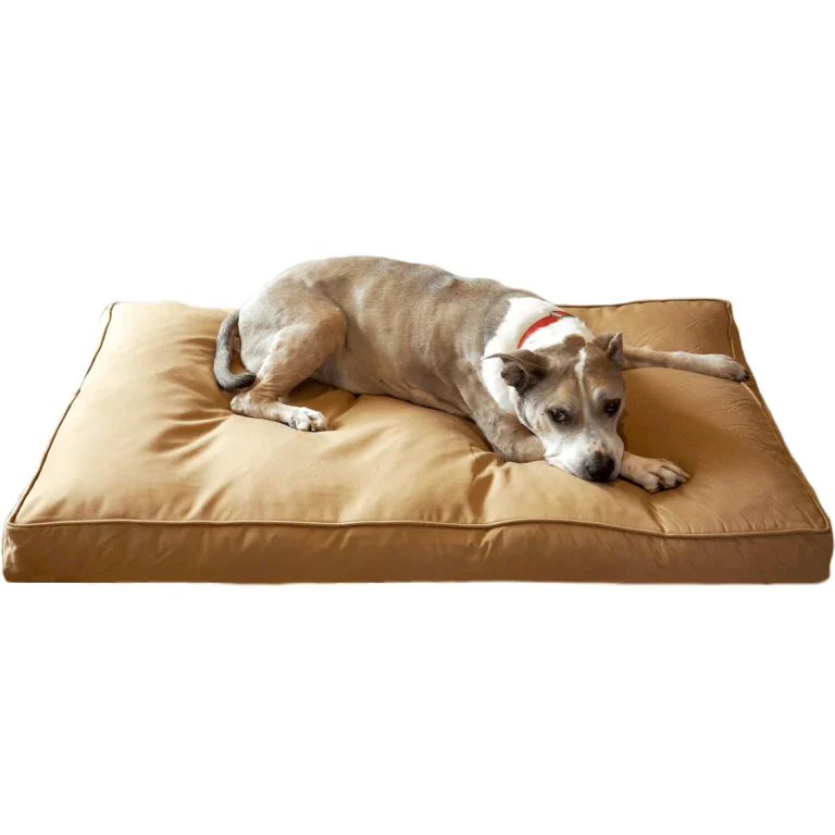 Chew proof dog bed
