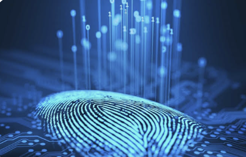 Forensic Watermarking