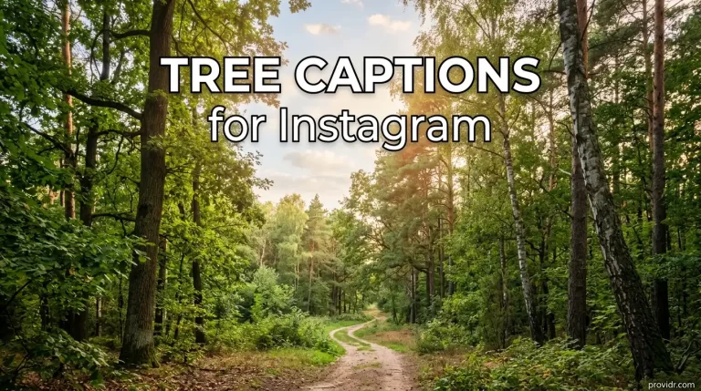 Tree Captions for Instagram