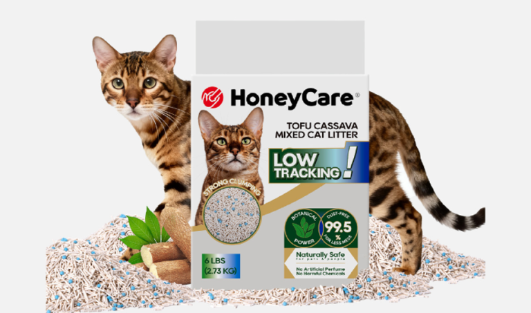 Why Does the Litter Box Smell So Bad, and What Helps?